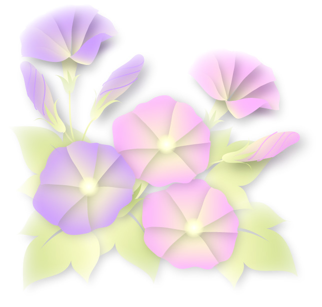 あさがお3