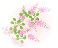 萩