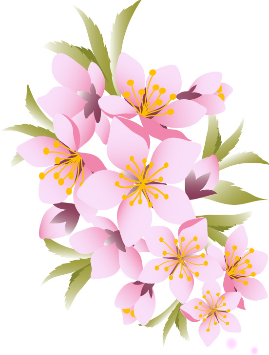 桃2