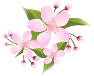 桜2
