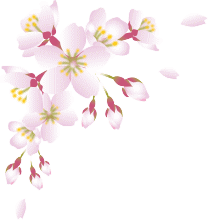 桜3