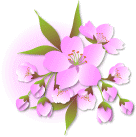桜4