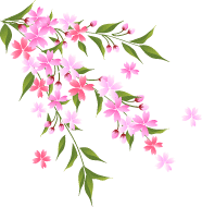 しだれ桜