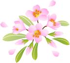 しゃくなげ（ピンク）