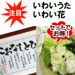 セット割引キャペーン中
