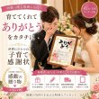 画像4: 結婚式 両親 子育て感謝状 (4)