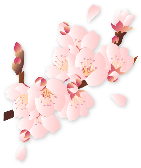 桜