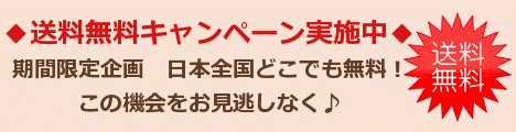 送料無料